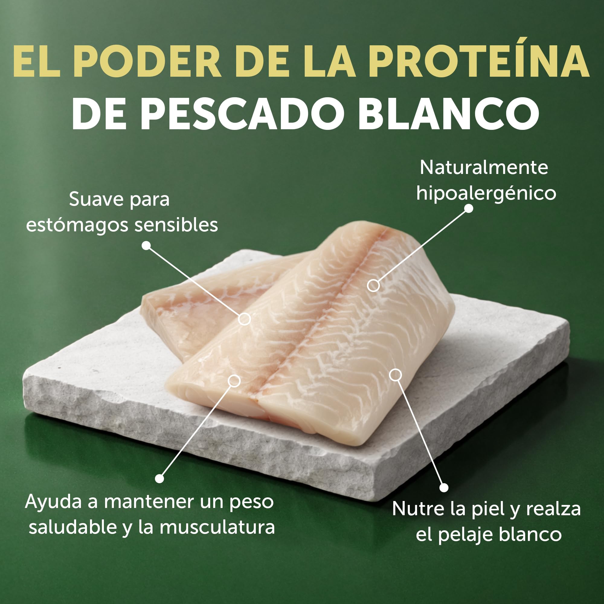 Nature's Protection Superior Care Pienso Todas Las Edades, Pez Blanco 4 kg | Con arroz, Antimanchas lagrimales, pelaje blanco brillante, Croquetas grandes, Pelajes blancos/claros, Cachorros y adultos
