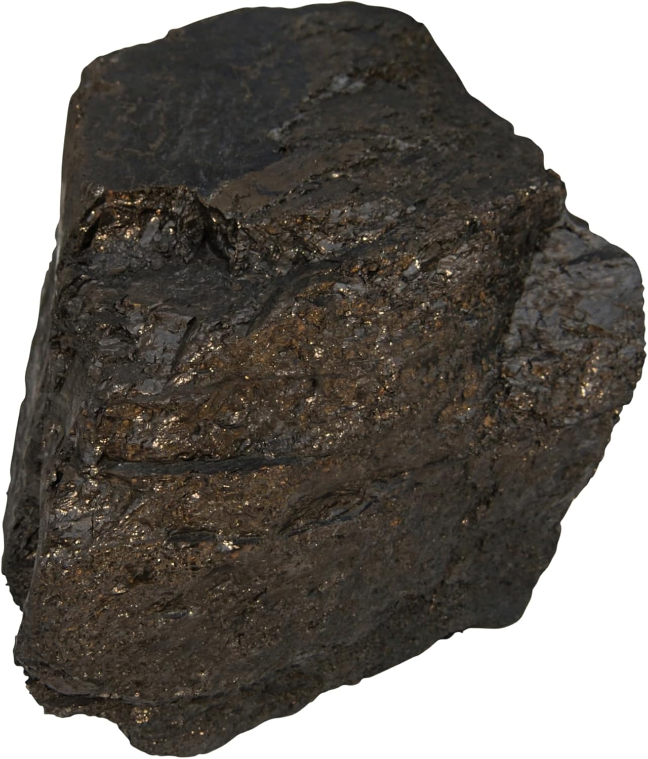 39.4 Pound Piece of Anthracite Coal for Carving or Display G6543