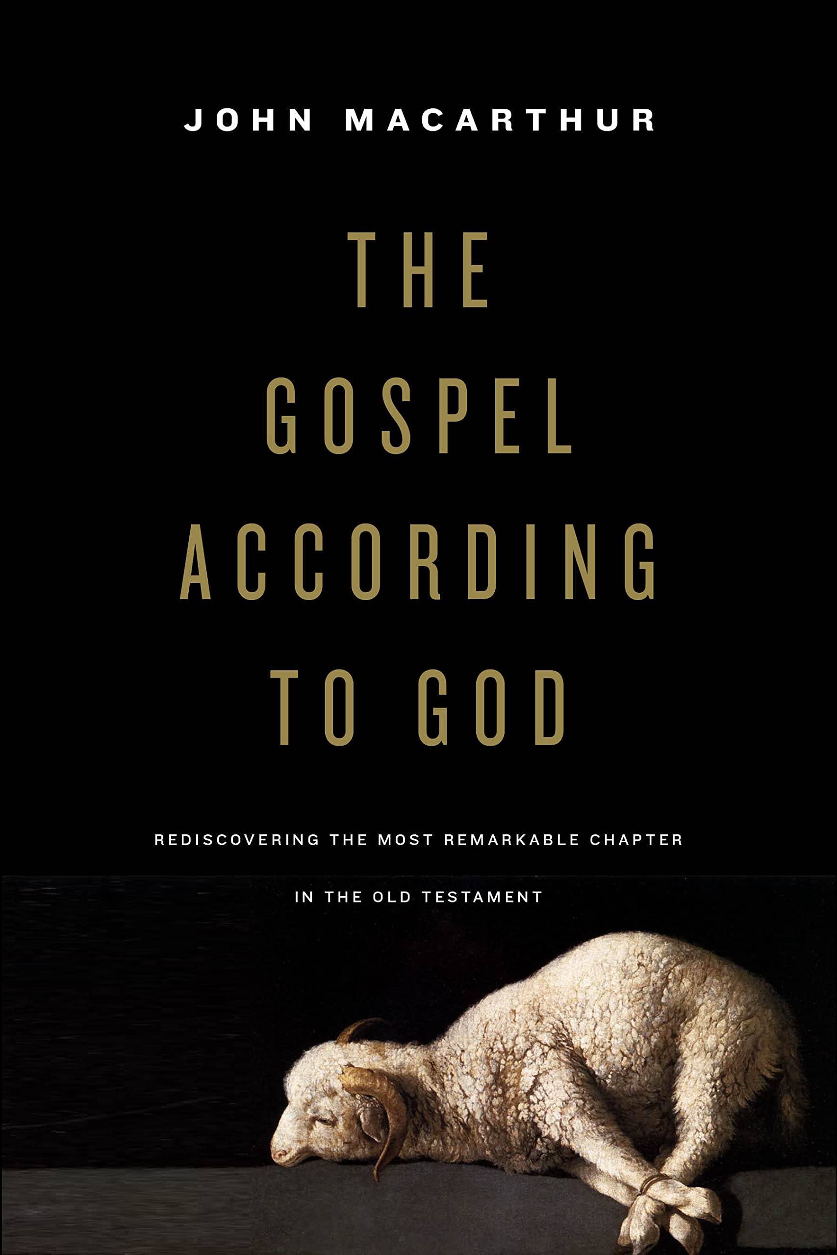The Gospel according to God - 9781433587252