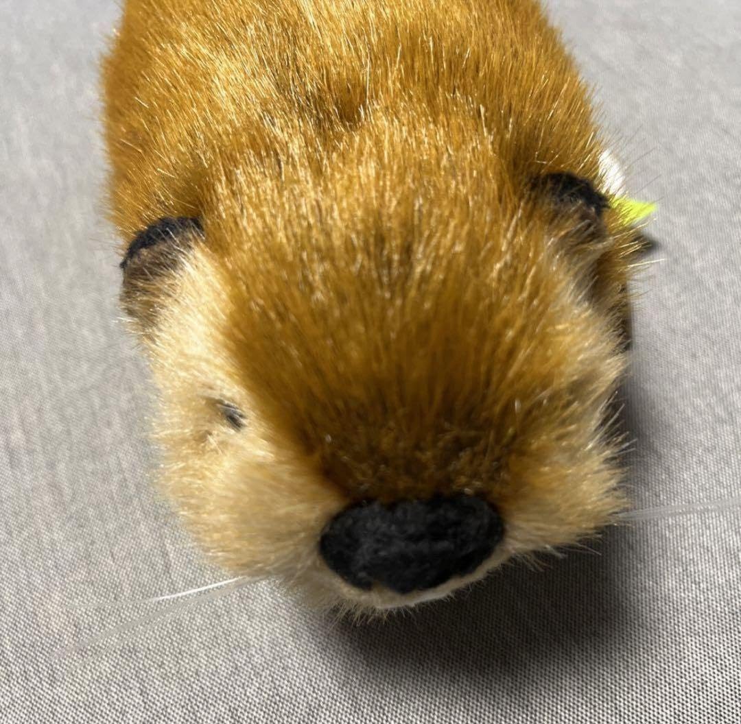 Amazon.co.jp: ビーバーちゃん（スーパービーバーちゃん風） : おもちゃ