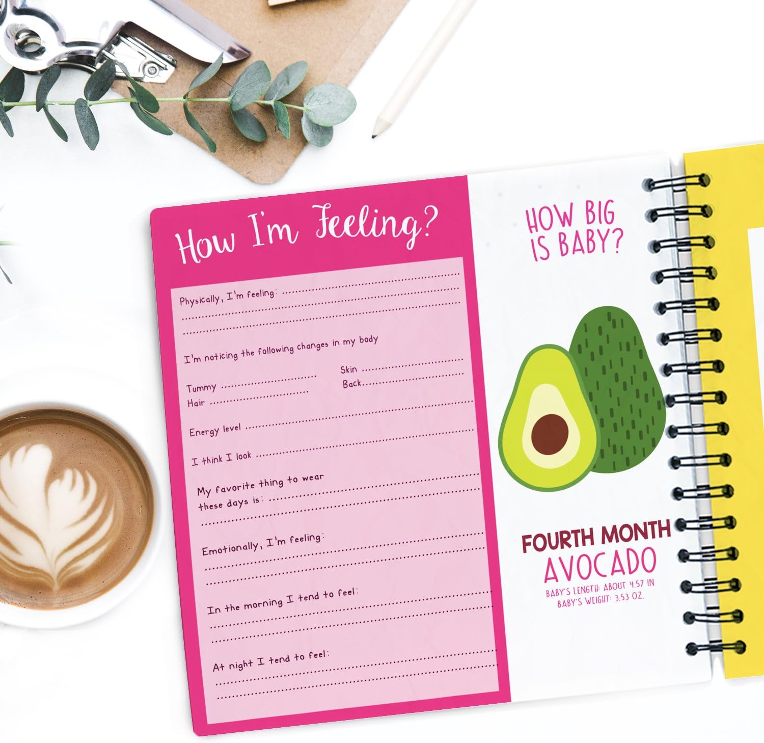 Unconditional ROSIE My 9 Month Journey Pregnancy Journal - Baby Memory Book