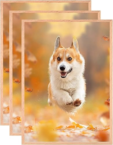 HNDFLU Juego de 3 marcos de fotos de madera de roble de 11 x 14 pulgadas, marco de fotos de madera maciza de color de madera natural con plexiglás