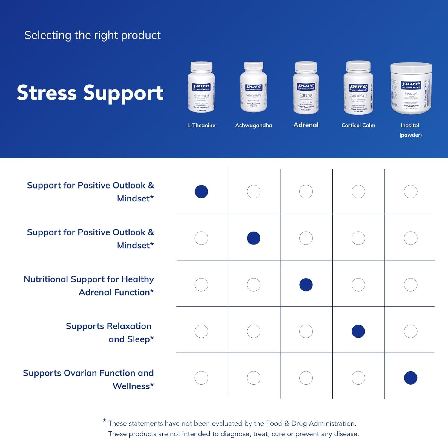 Pure Encapsulations L-Theanine - Amino Acid Supplement to Support Relaxation, Stress & Nervous System - 120 Capsules - Image 6