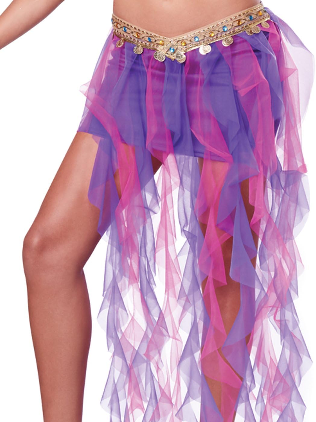 California Costumes Women's Belly Dancer Sexy Two Piece Genie Costume