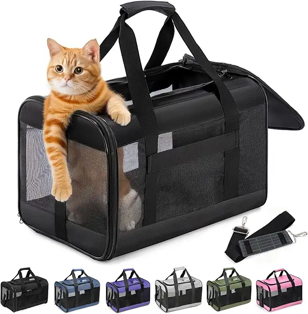 Transporteur pour Chat et Chiot Pliable - Noir, M - Cage à Chat Transport