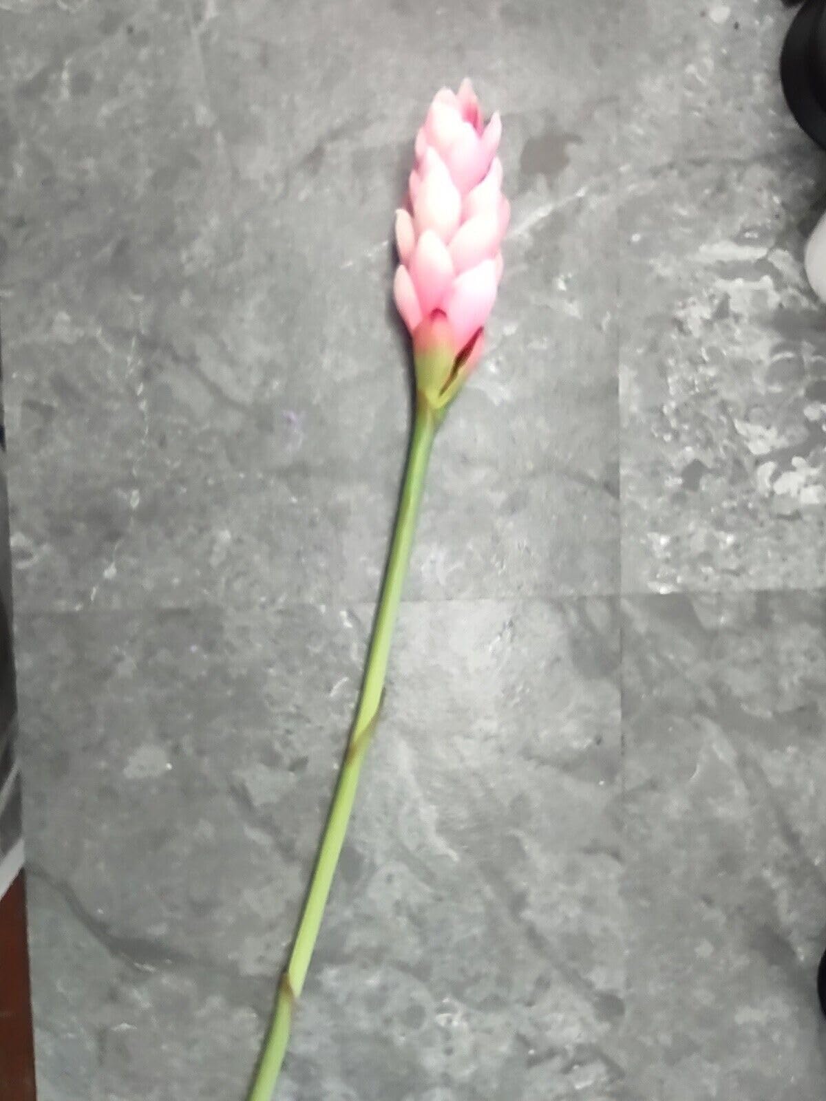 Ginger Lily Stem. Silk Arrangements Tropical Hawaiian Flowers Pink
