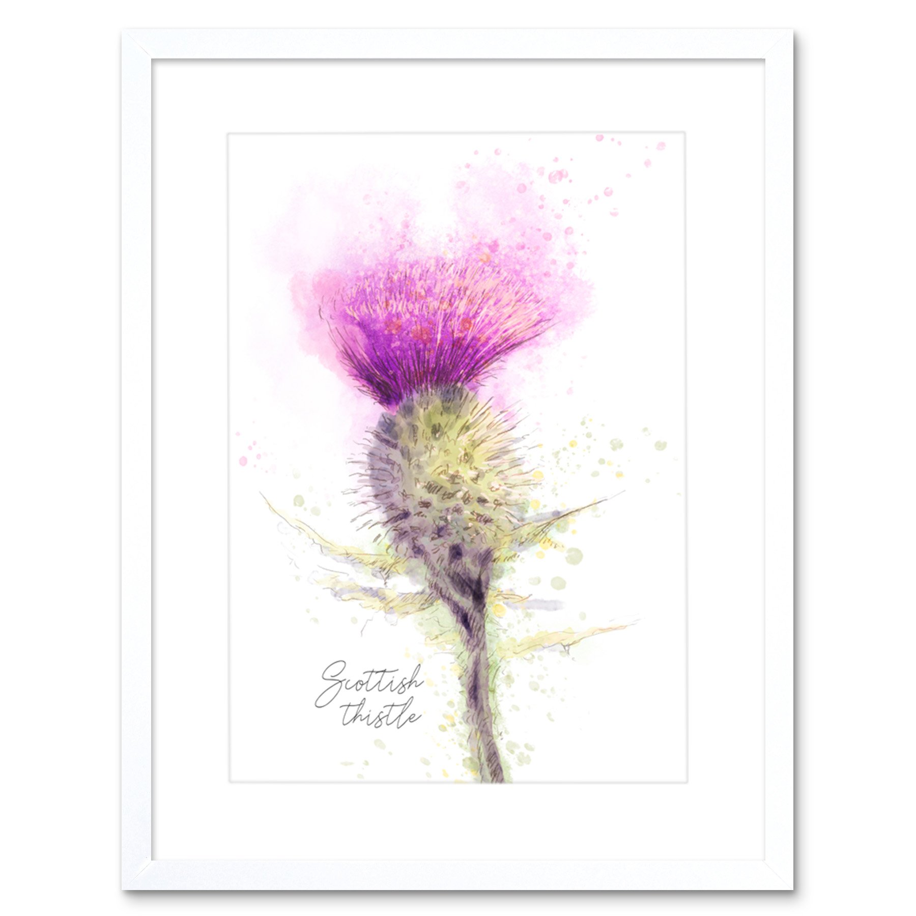 Wee Blue Coo Scottish Thistle Flower Head Watercolour Scotland Framed Art Print