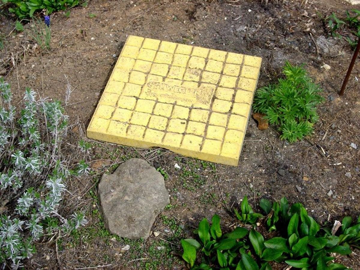 Naturschutzprodukt Ameisen-Beobachtungsstein Ameisen Nisthilfe Insektenhotel aus Holz-Sandsteinbeton Höhe 5 cm für Verschiedene Nützlinge patentiert