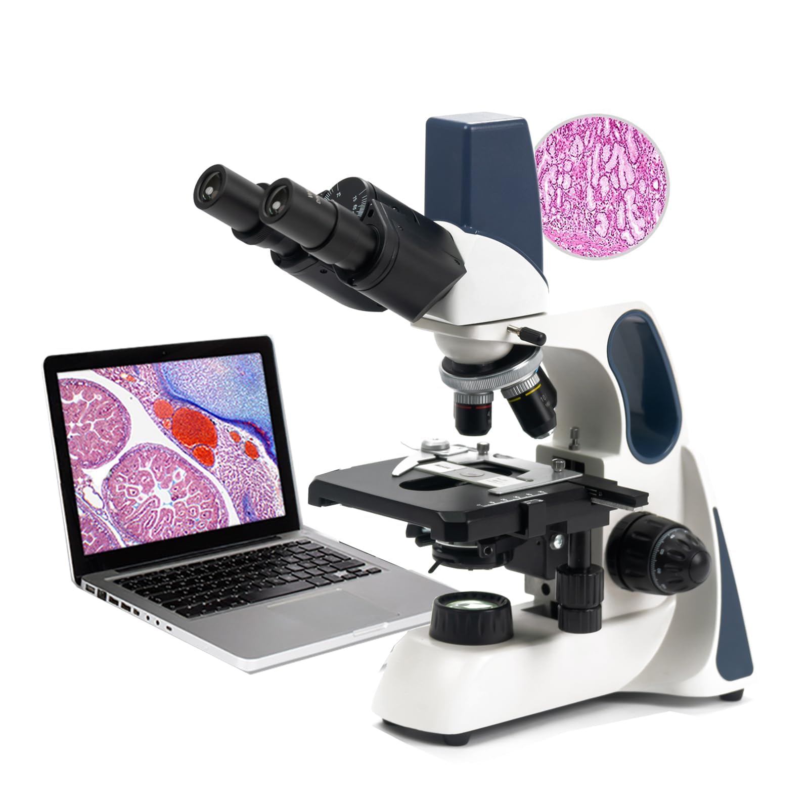 SWIFT SW300 Binocular Compound Microscope,Built-in 3.0MP Camera,40X-1600X