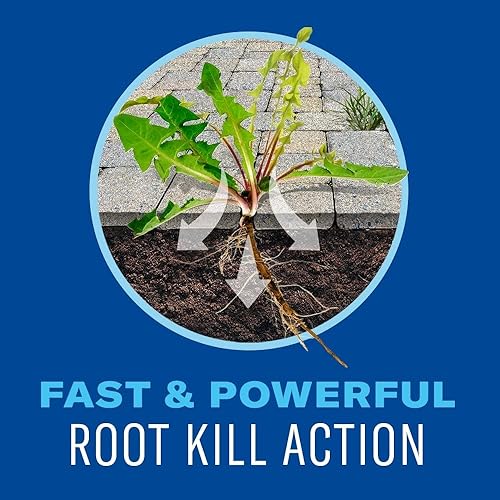 Miniatura 10 de BioAdvanced Eliminador de malezas y hierbas, 64 onzas, súper concentrado