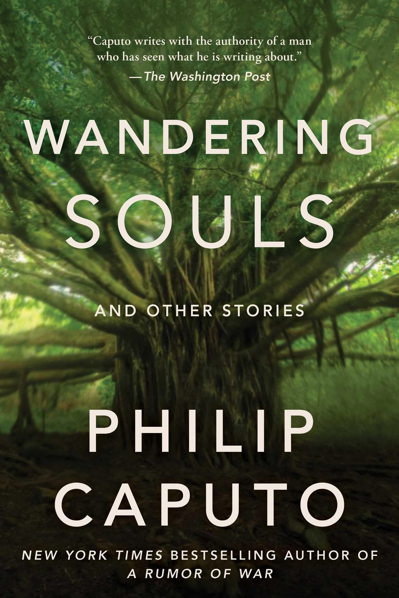 Wandering Souls by Philip Caputo - 9781648211584