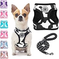 Vista 51 de BEAUTYZOO - Juego de arnés y correa para perros y gatos pequeños, extrapequeños y medianos, arnés tipo chaleco fácil de poner, antiasfixia