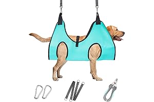 The Ultimate Doggie Lift: Effortless Dog Grooming for Every Pooch