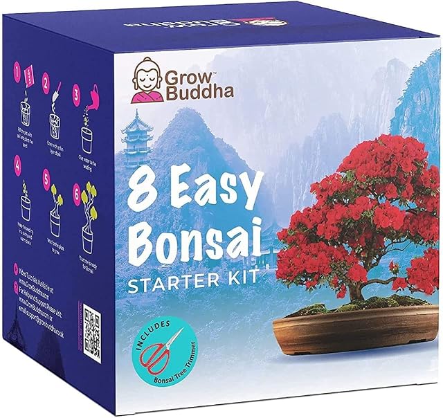 Bonsai Tree Kit | Grow Your own 8 Beautiful Bonsai Tree Varieties at Home| Complete Growing kit  Suitable for Beginners to Experts - Grow Indoor Plants  Memorable Gift for Women, Men and Children