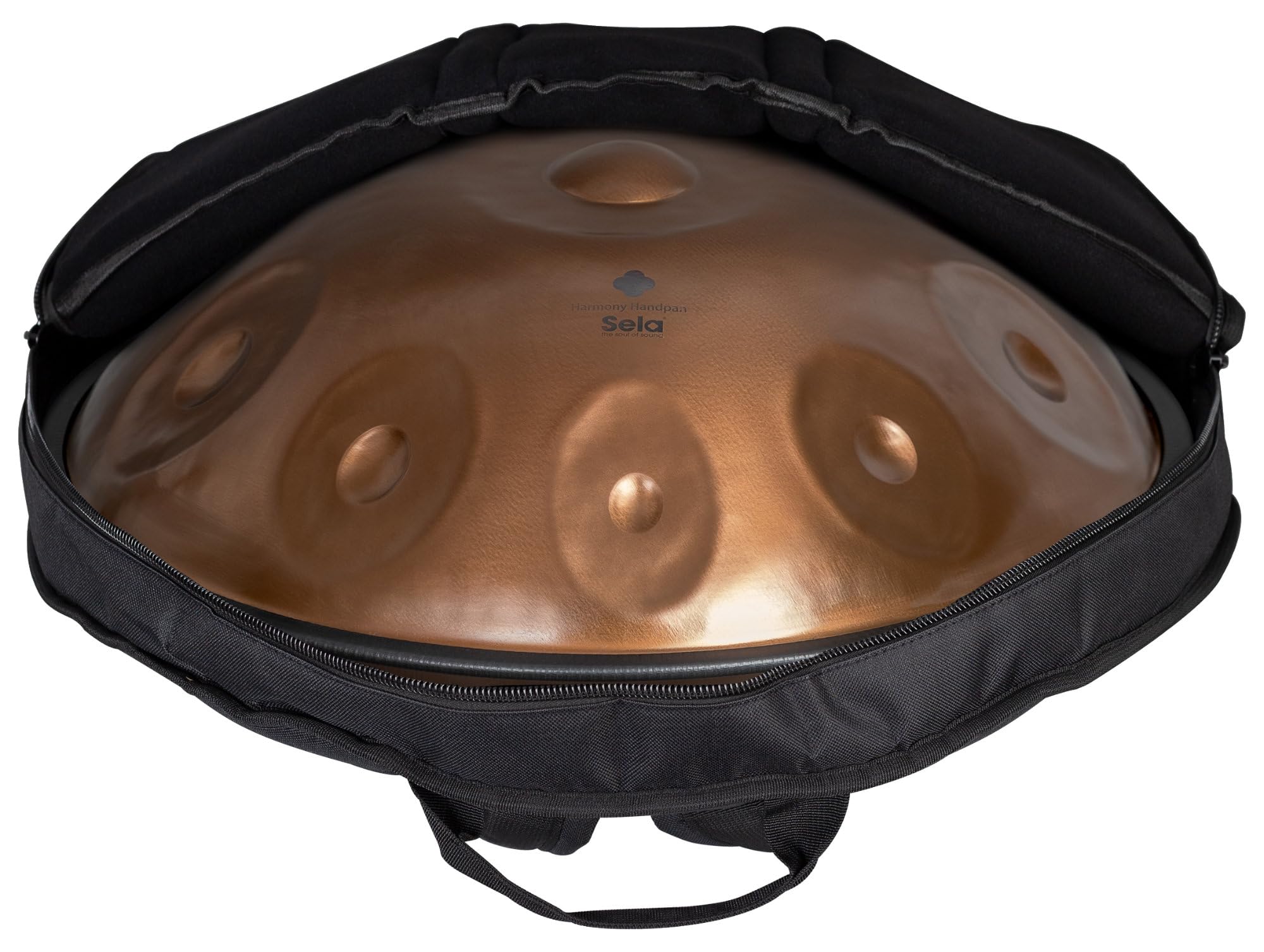 Harmony Handpan D Kurd 10 Phoenix Steel