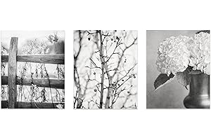 Nature Photography Wall Art Set: Captivating Black and White Photos for Minimalist Home Decor