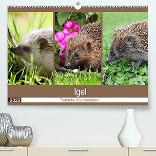 Igel 2022. Tierische Impressionen (Premium, hochwertiger DIN A2 Wandkalender 2022, Kunstdruck in Hochglanz)