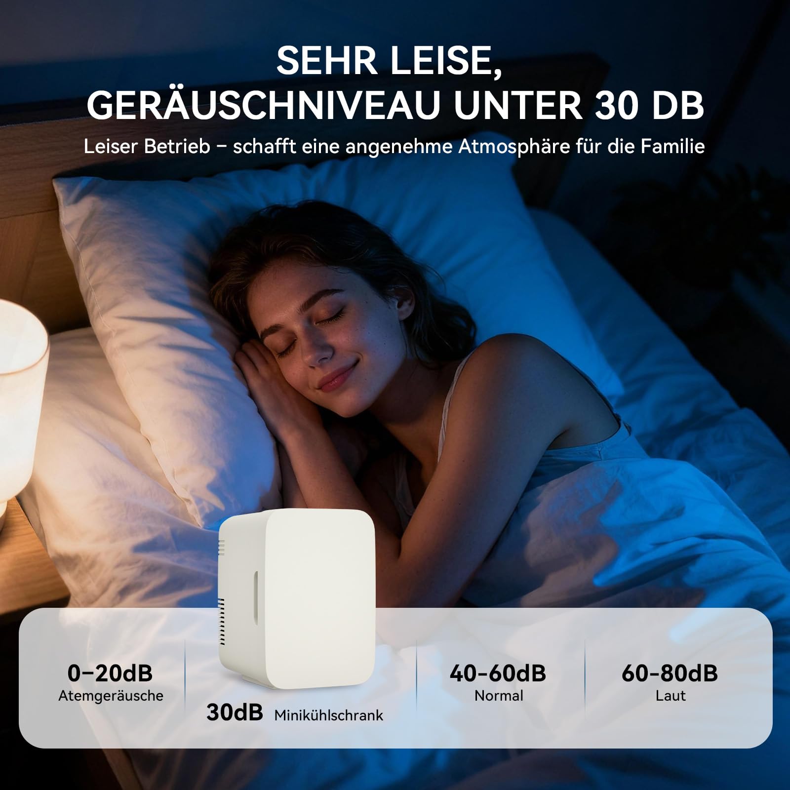 2 in 1 Mini Kühlschrank, 4 Liter mit Kühl- und Heizfunktion, tragbare elektrische Gefrierbox klein Gefrierschrank für Auto, camping, Lkw, Büro, 220V Steckdose und 12V USB-Anschluss