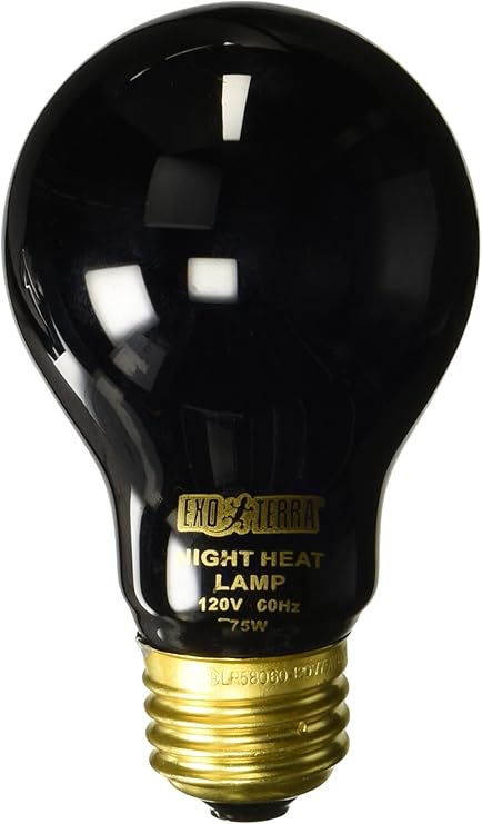 Exo Terra Night Heat Lamp 75w Amazon Co Uk Pet Supplies