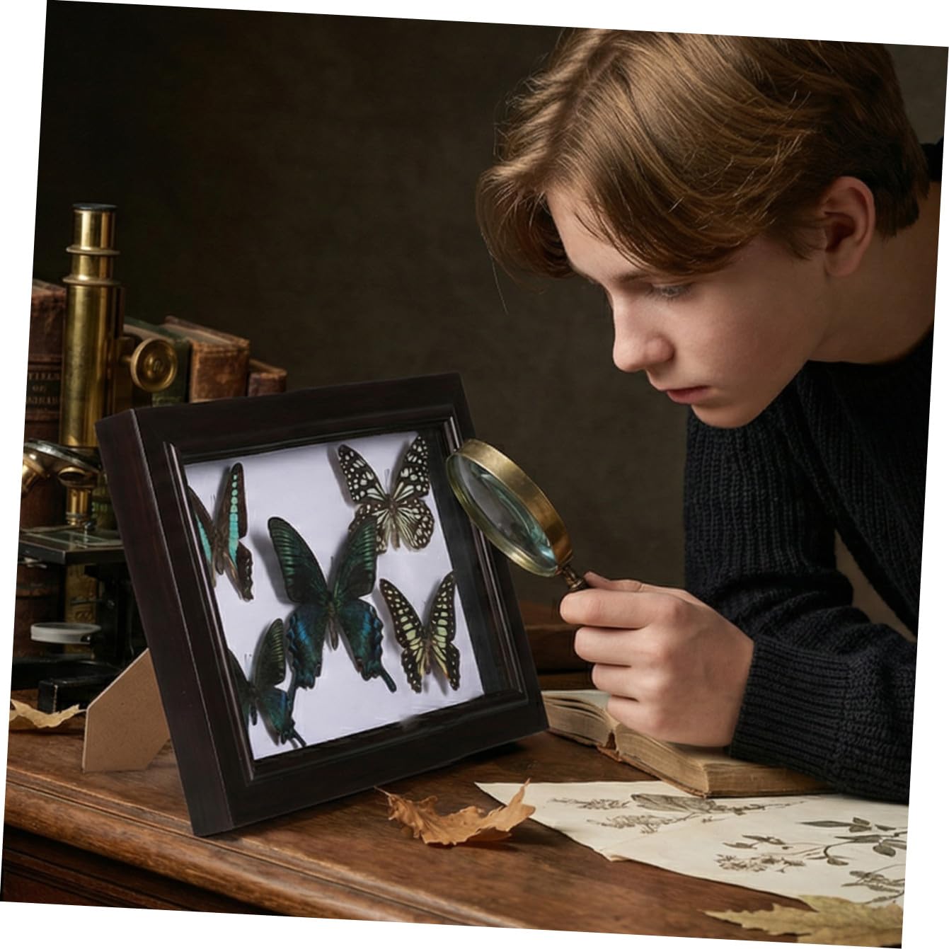 SHINEOFI Marco de Exhibición de Mariposas Disecadas A7 Decoración Mural de Madera Natural Arte Mural Hecho a Mano para Sala de Estar Cuadro Decorativo de Pared para Coleccionistas y