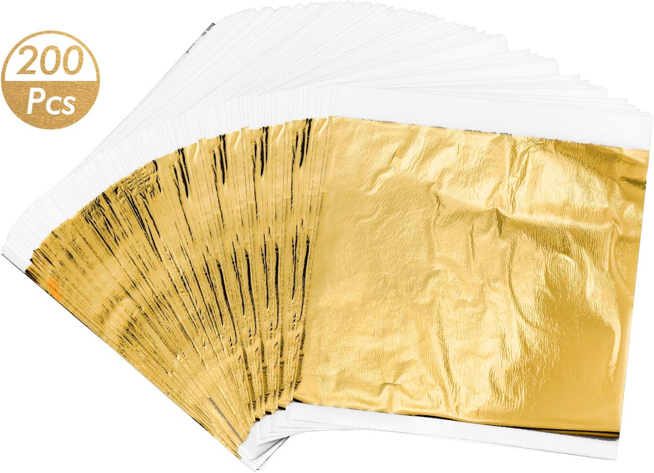 soffiatore di foglie a zaino echo