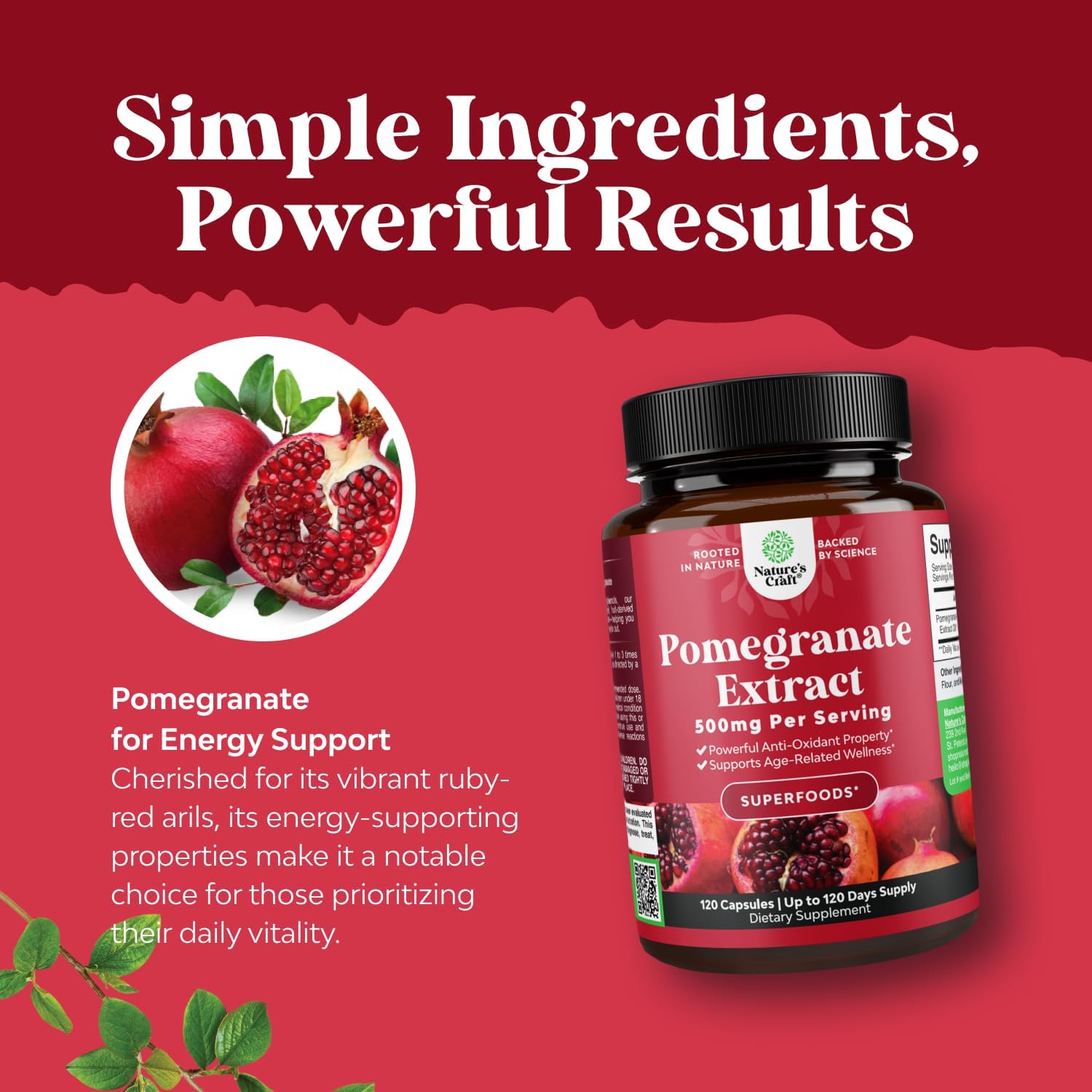 Bundle of Nootropic Brain Supplement for Memory and Focus Enhancement - Cognitive Complex for Mind Vitality and Advanced Antioxidant Superfood Pomegranate Extract Polyphenols for Heart Health