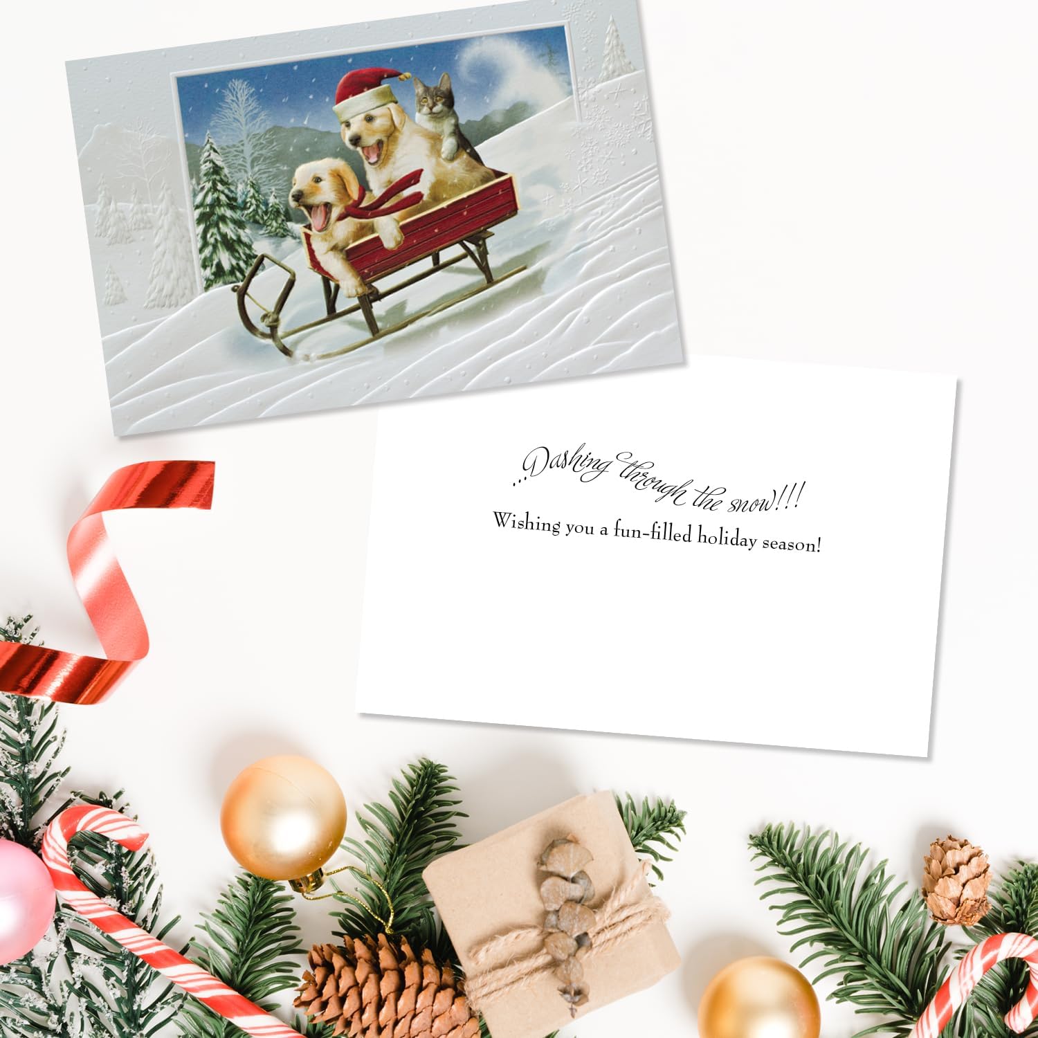 Pumpernickel Press Embossed Christmas Greeting Cards Boxed Set – The Need for Speed, 16 Count. Made in USA