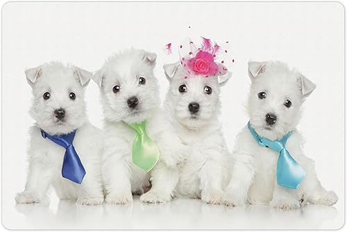 Lunarable Westie - Tapete para mascotas para alimentos y agua, grupo de cachorros de West Highland White Terrier sobre fondo liso, tapete de goma