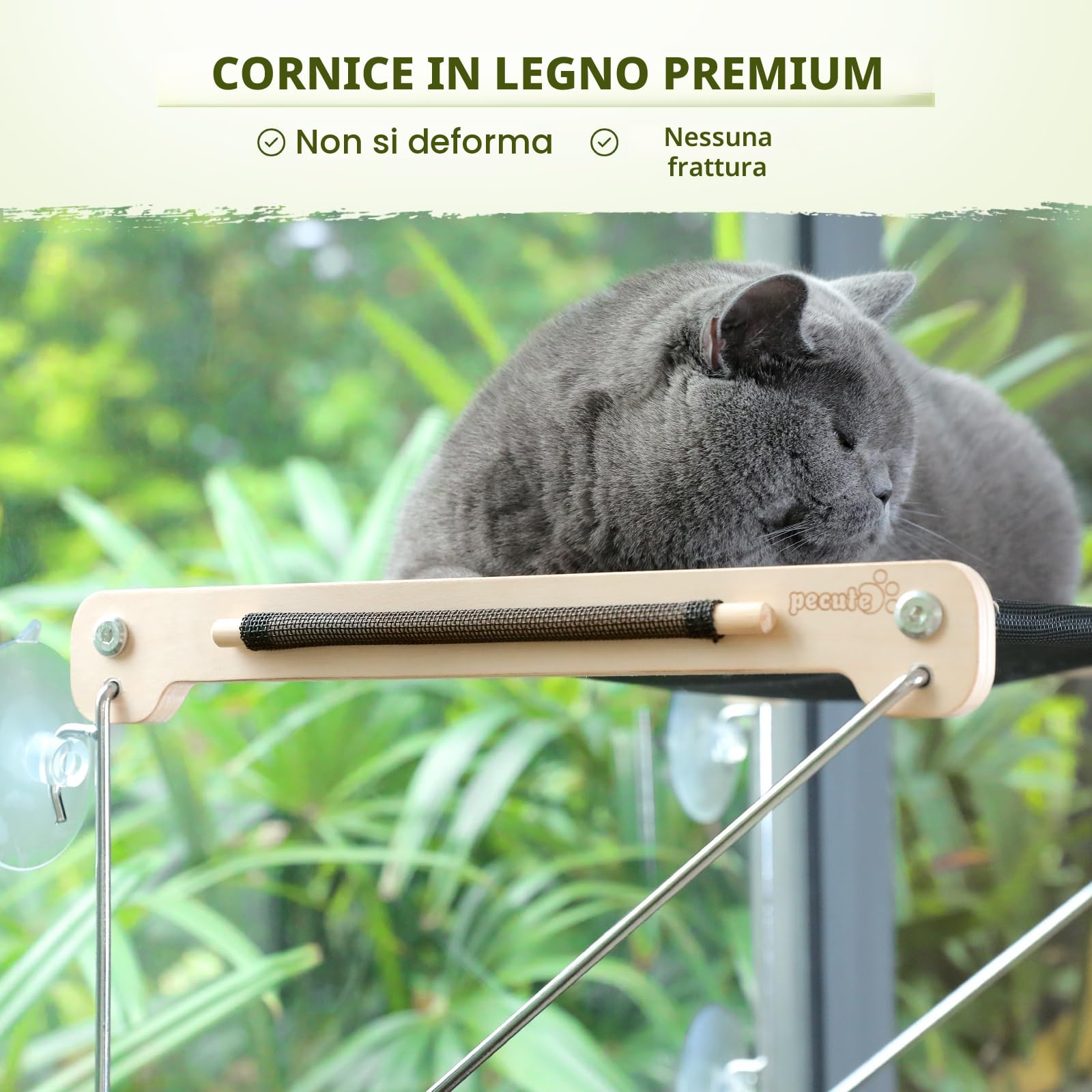 Pecute Amaca per Gatti in Legno Osservazione Degli Uccelli 46 * 32 CM, Letto Montato per Gattini, Trespolo Robusto con 4 Ventose, Facile da Montare, può Contenere Fino a 15 kg