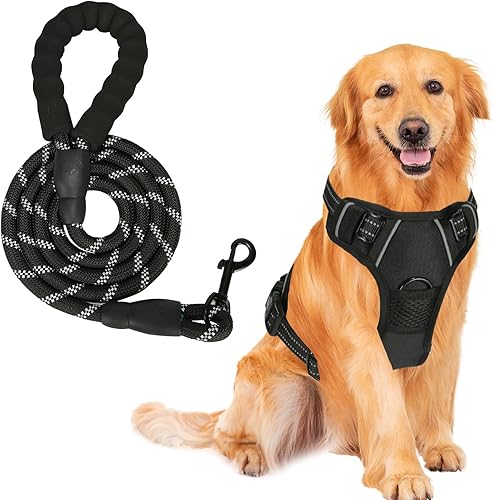 Arnés para perro, chaleco acolchado suave ajustable para perro, arnés sin tirones para mascota con 2 clips para correa, chaleco Oxford reflectante