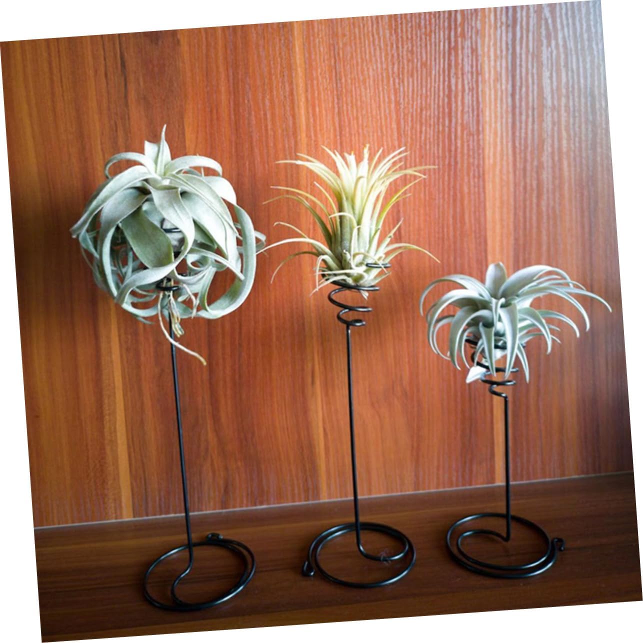 Kisangel Air Pineapple Display Rack Iron Flower Stand for Micro Landscape image 4