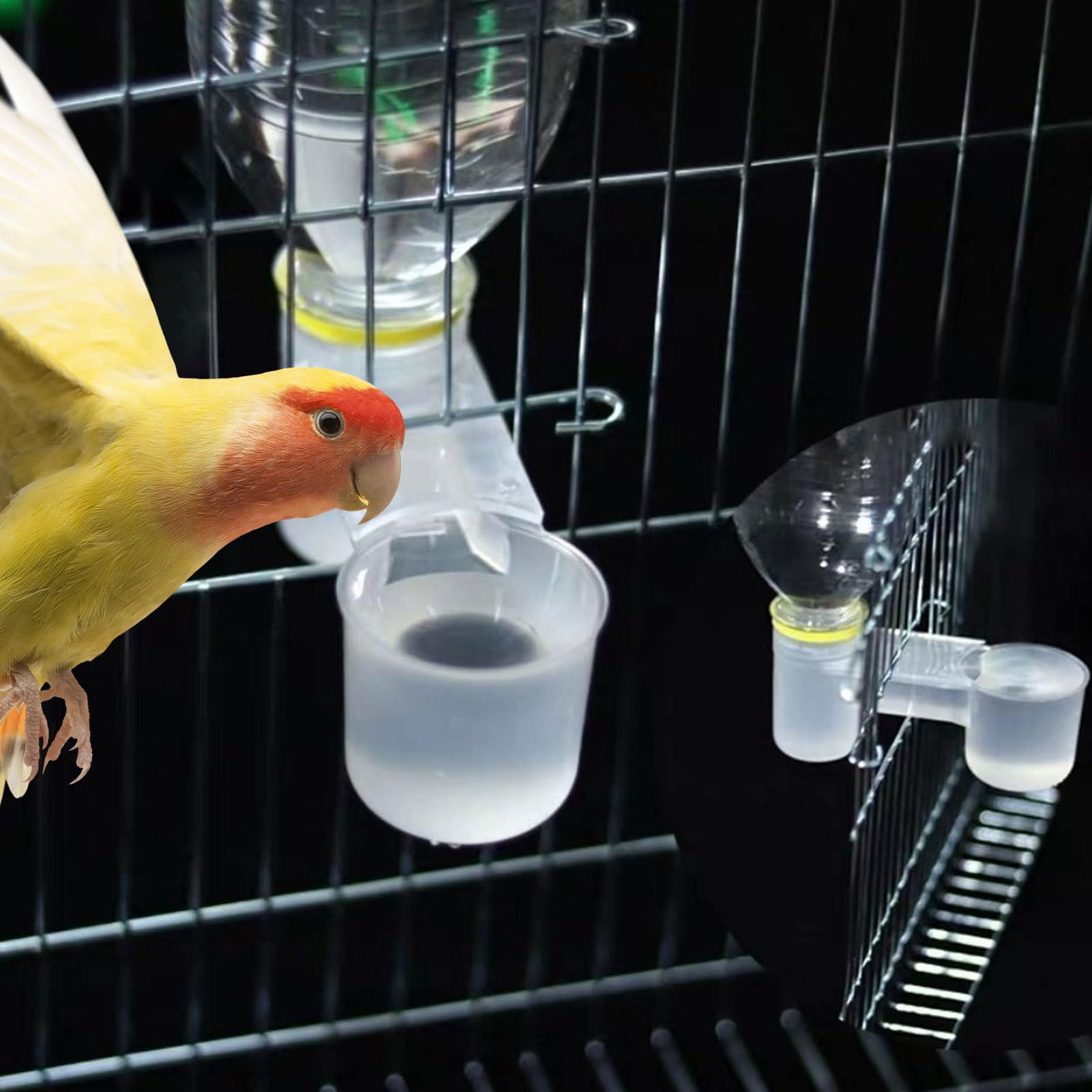 Abbeveratoio per pollame | Abbeveratoio per uccelli a gabbia con bottiglia - Dispenser a due porte per piccioni parrocchetti fringuelli galline giardino casa