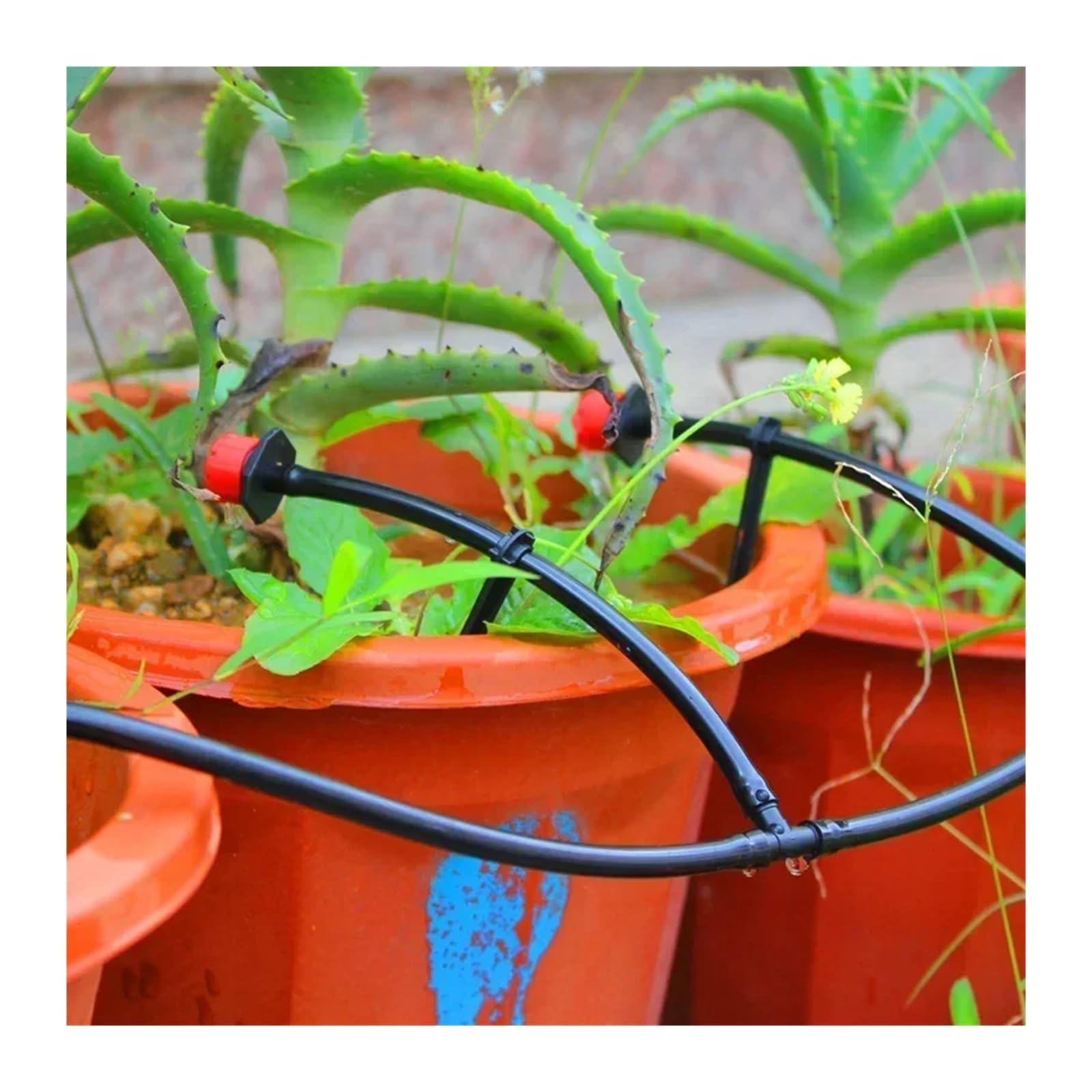 Forniture per Il Giardino Set di irrigazione a Goccia for Giardino, Balcone Cortile, Vaso di Fiori, gocciolatore Regolabile, Set di irrigazione atomizzata, irrigazione Ugello(5m10 Drip Head)