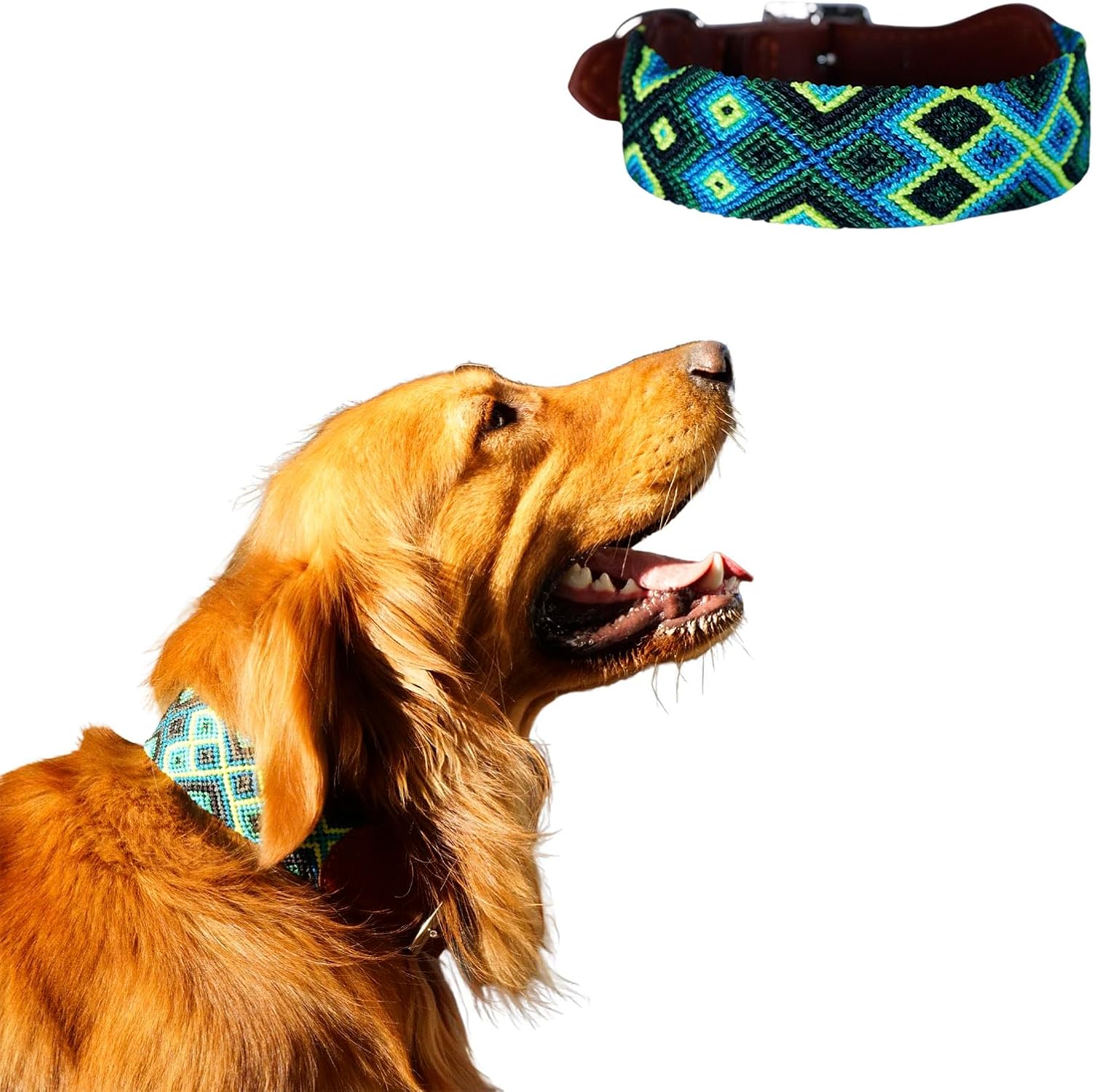 Eternia Premium Leather Dog Collar - Adjustable Handcrafted Collar for Small to Large Dogs (Blue/Green, L)