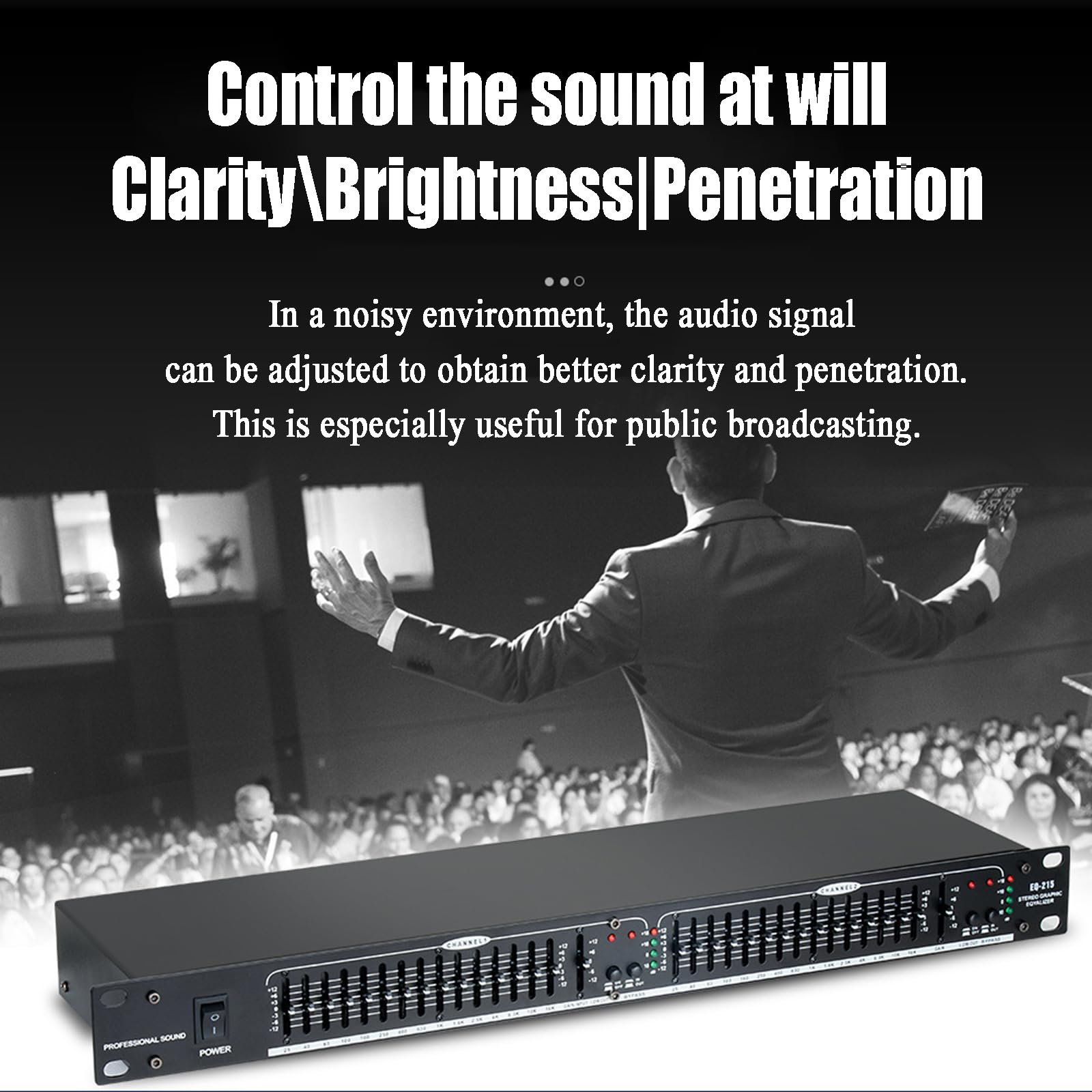 Equalizzatore Audio Professionale, Dual 31-Band con Limitatore di Pressione, Processore di Effetti Digitali Desktop Grafici, Equalizzatore di Sintonizzazione, Regolazione Indipendente