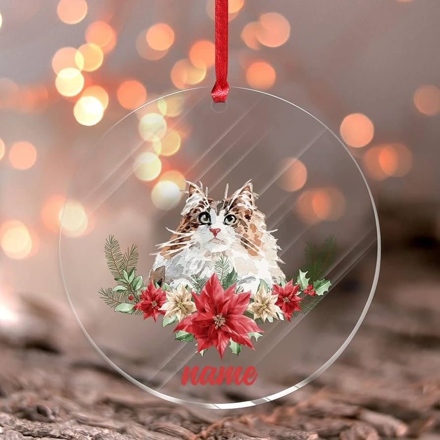 Cat owner gifts for christmas Clearance