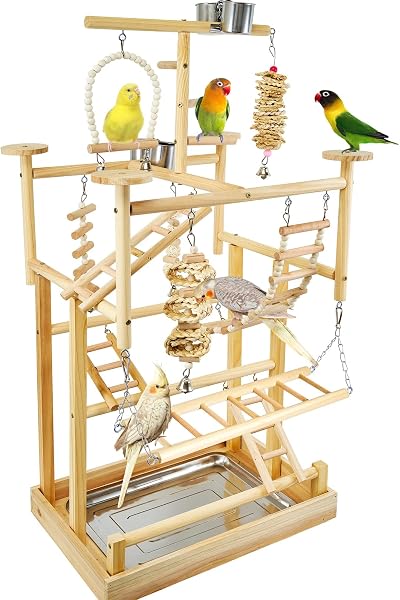 LIMIO Bird Playground - Natural Wood Parrot Playstand with Perches, Bird Play Gym & Accessories, Removable Tray & 4 Stai