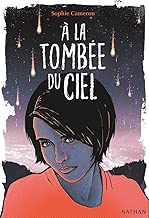 Download À la tombée du ciel - Roman dès 14 ans (1) PDF
