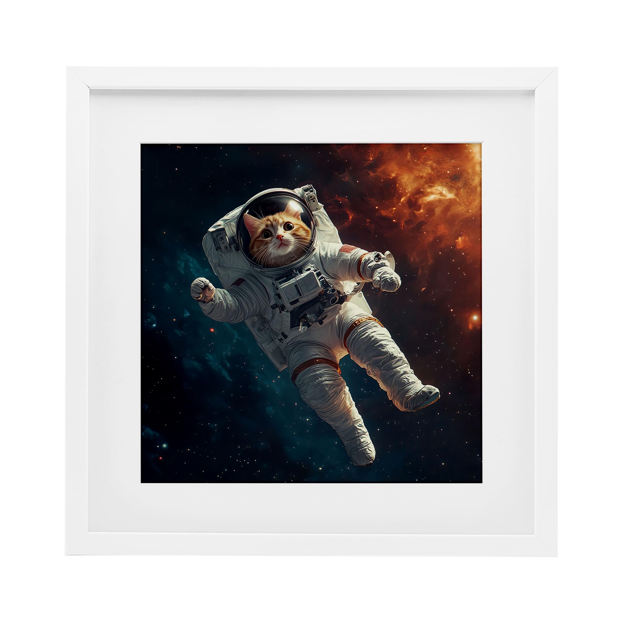 Affiche encadrée sous verre Stupell Industries Interstellar Cat Jim Baldwin
