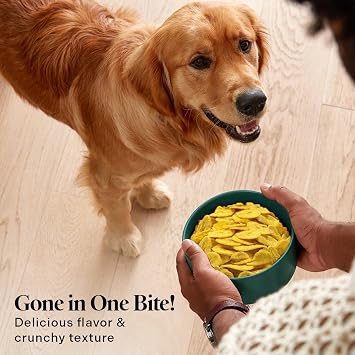 Healthy Dogma Banana Chips Treat for Dogs - All-Natural, Clean Ingredient Snacks - Supports Digestion, Energy & Immune Health - Perfect for Training & Sensitive Stomachs, (24 oz (1 lb 8 oz))