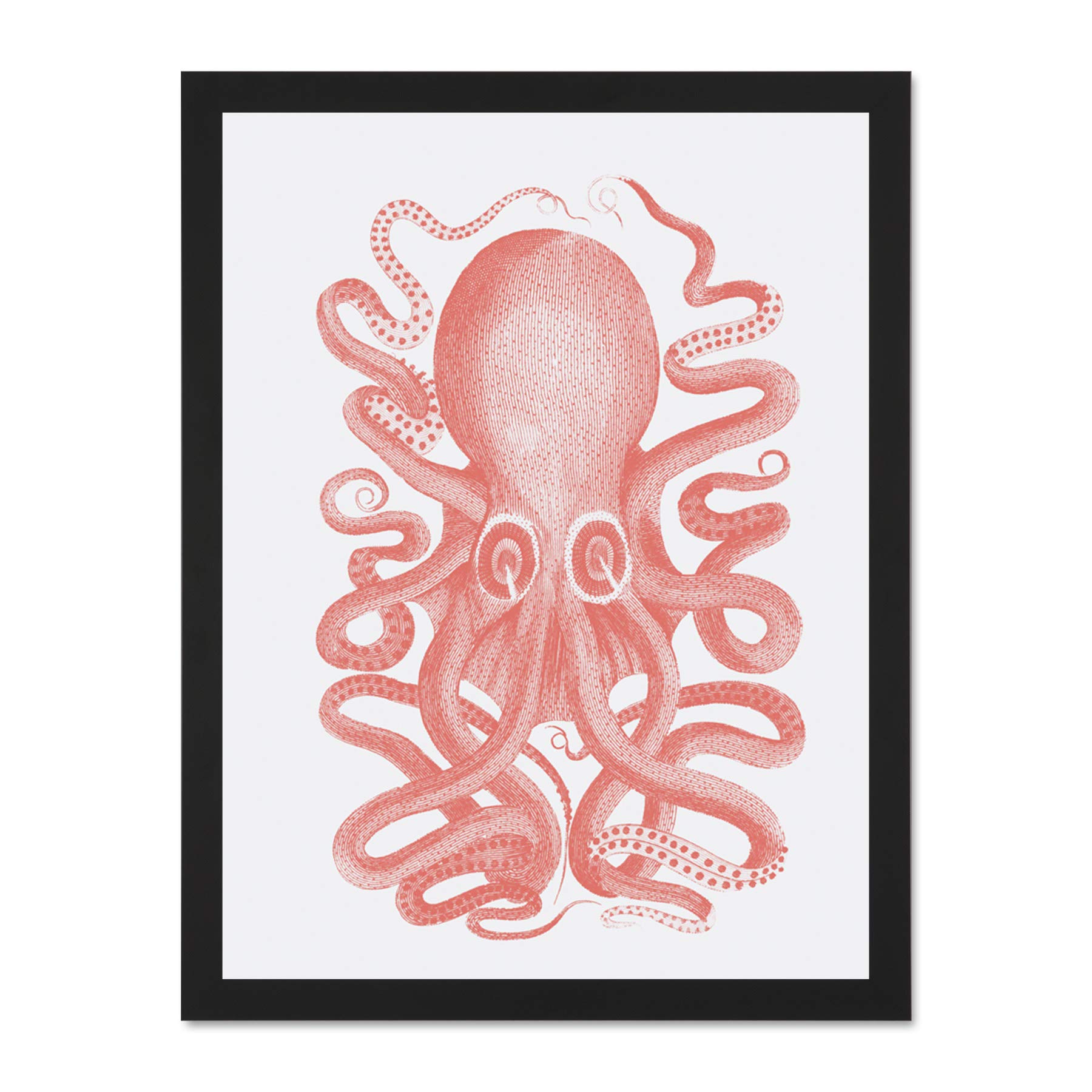 Wee Blue Coo Living Coral Octopus Large Black Framed Art Print Wall Poster 18x24 inch