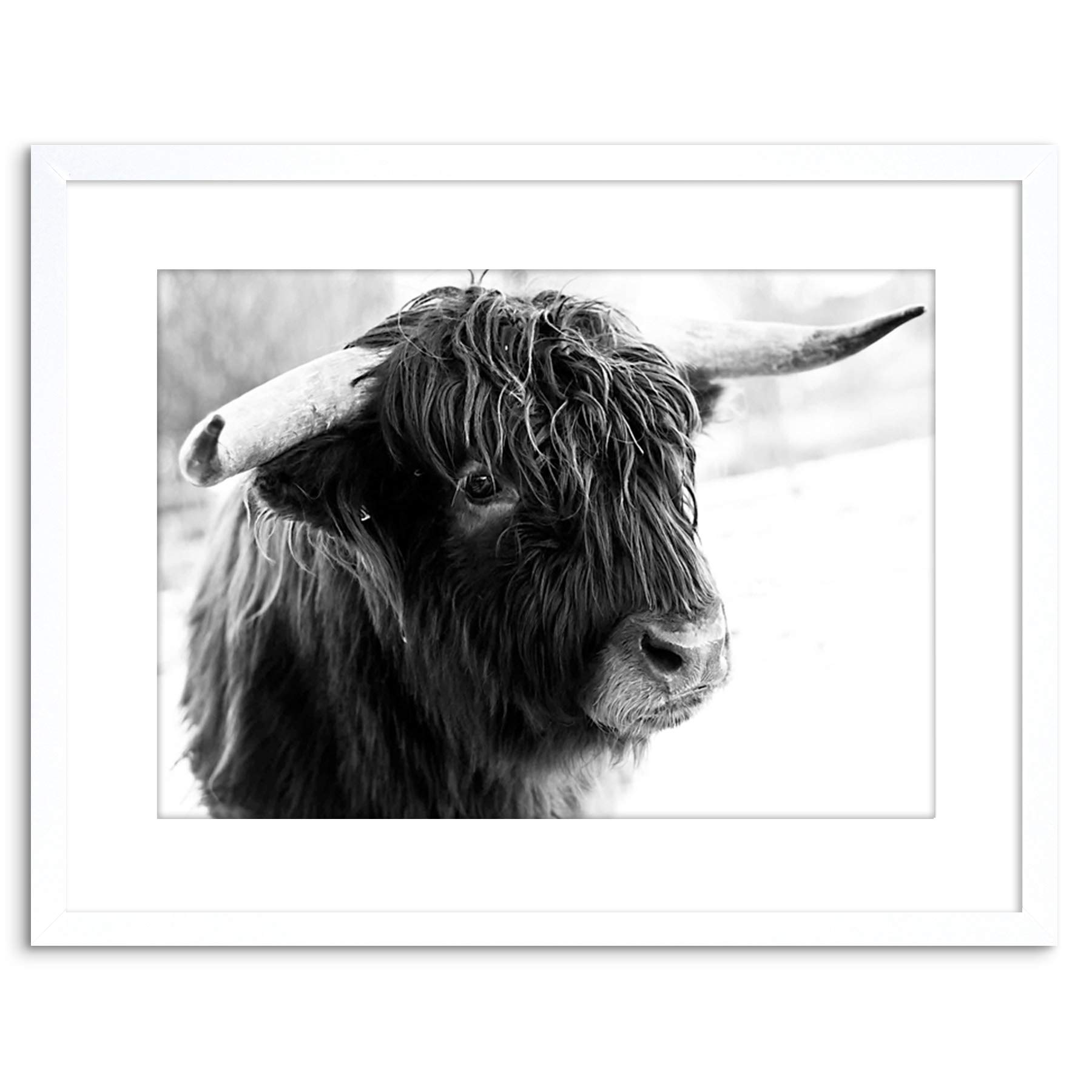 Wee Blue Coo PHOTO COMPOSITION ANIMAL LIVESTOCK HIGHLAND COW BULL FRAMED PRINT F97X5508