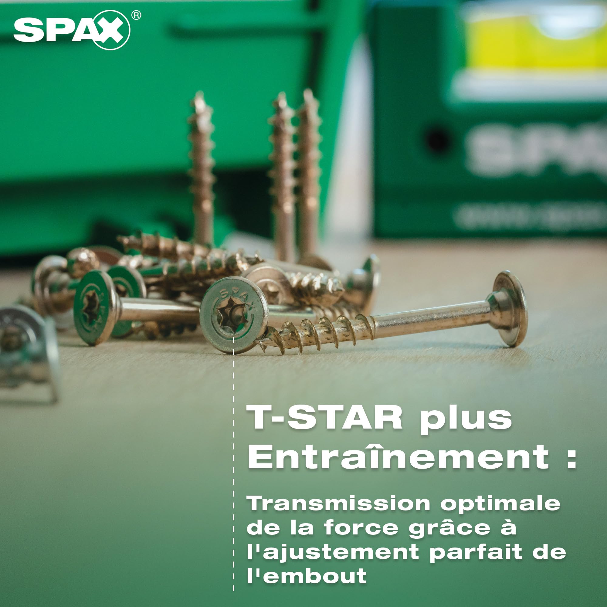 SPAX Kit de vis pour la fabrication de meubles dans systainer³ T-Loc, 2 900 vis en 12 dimensions, avec 5 embouts T20 et niveau à bulle - 8000000294617