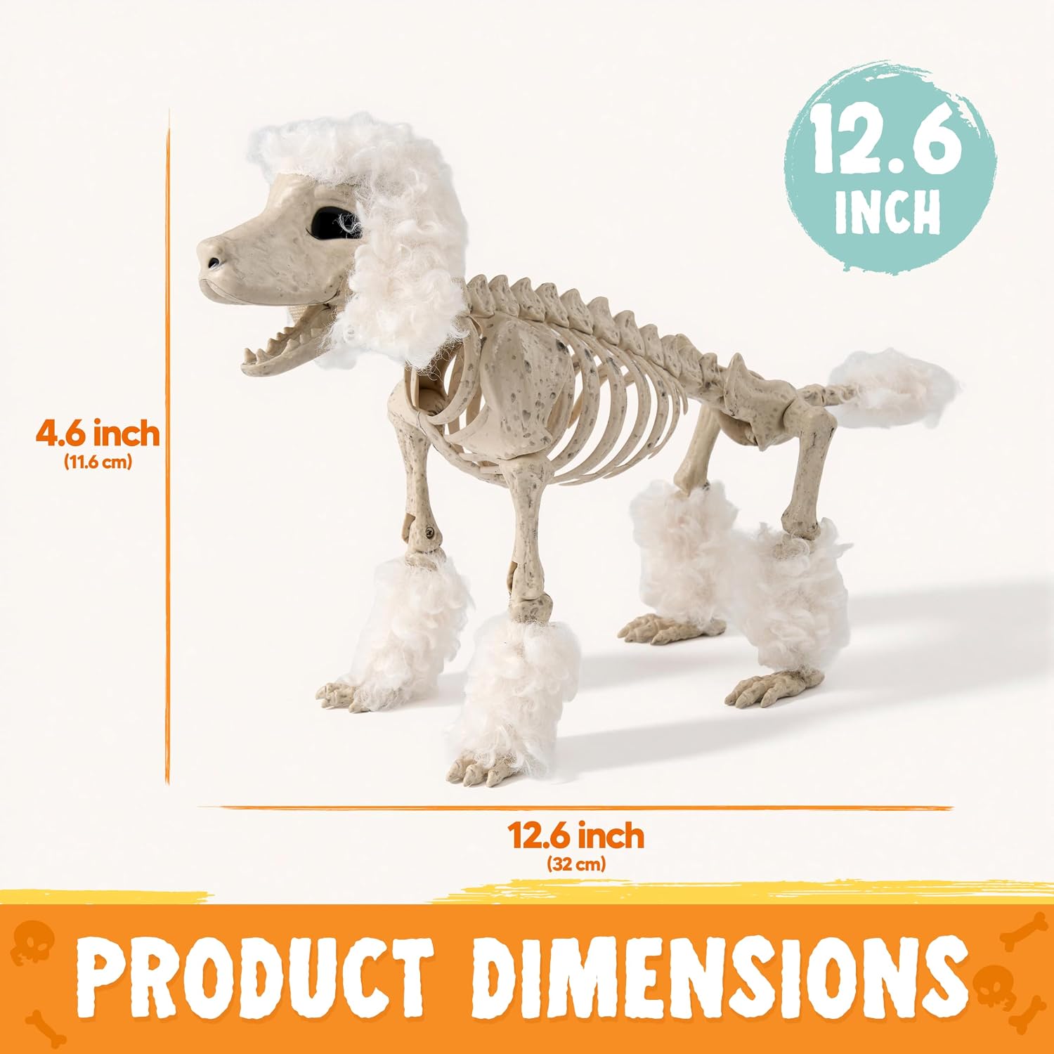 JOYIN 12.6" Halloween Dog Skeleton, Plastic Poodle Skeleton with Posable Joints, Full Body Realistic Puppy Bones for Halloween Animal Decor, Yard Haunted House Graveyard Party Supplies