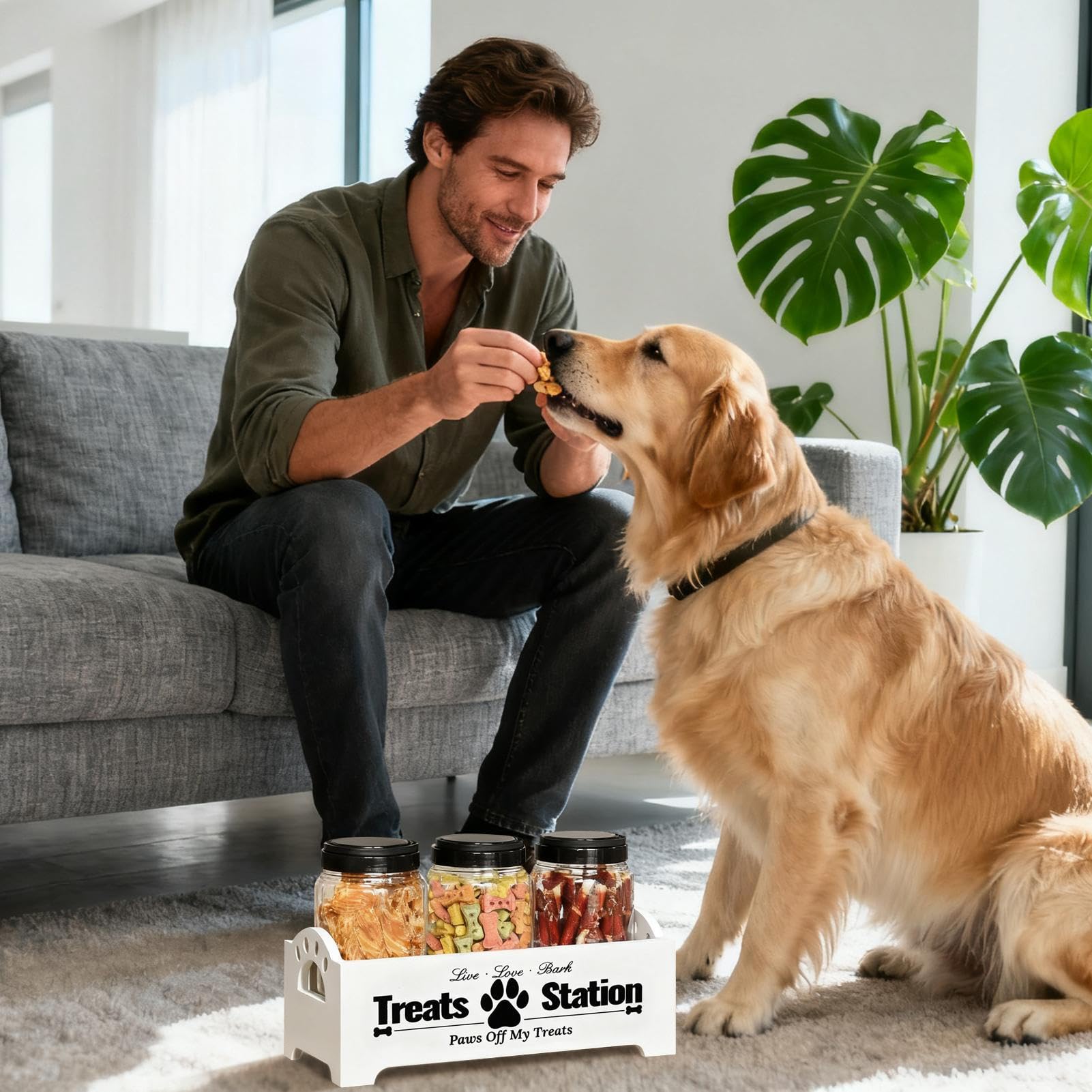 Récipient à pour chien | Boîte de 3 pièces avec organisateur de rangement – Bocal à pour chiens, chats, animaux, oiseaux, maison, garde-manger, appartement, cuisine, comptoir