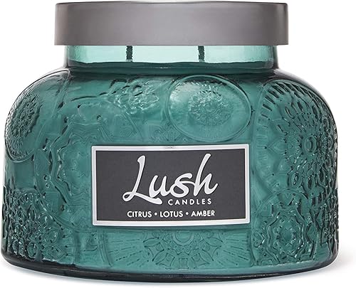 A Cheerful Giver - Citrus Lotus Amber - Tarro de vela perfumado grande de 20 onzas con tapa - Exuberante - 95 horas de tiempo de combustión, regalo disponible en Yaxa Peru