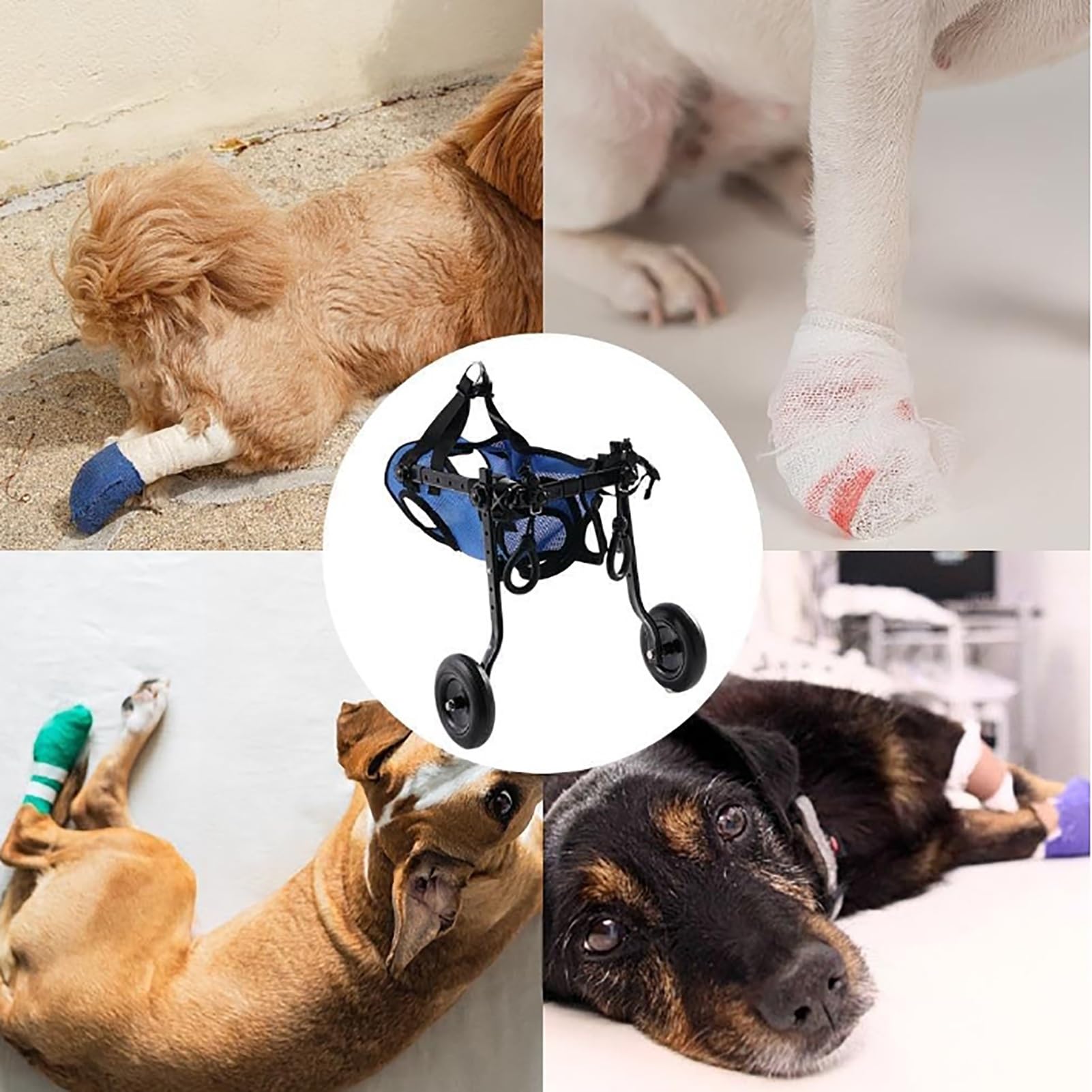 Sedia a rotelle regolabile per animali domestici, 4 ruote, con supporto per gambe posteriori per cani e gatti disabili