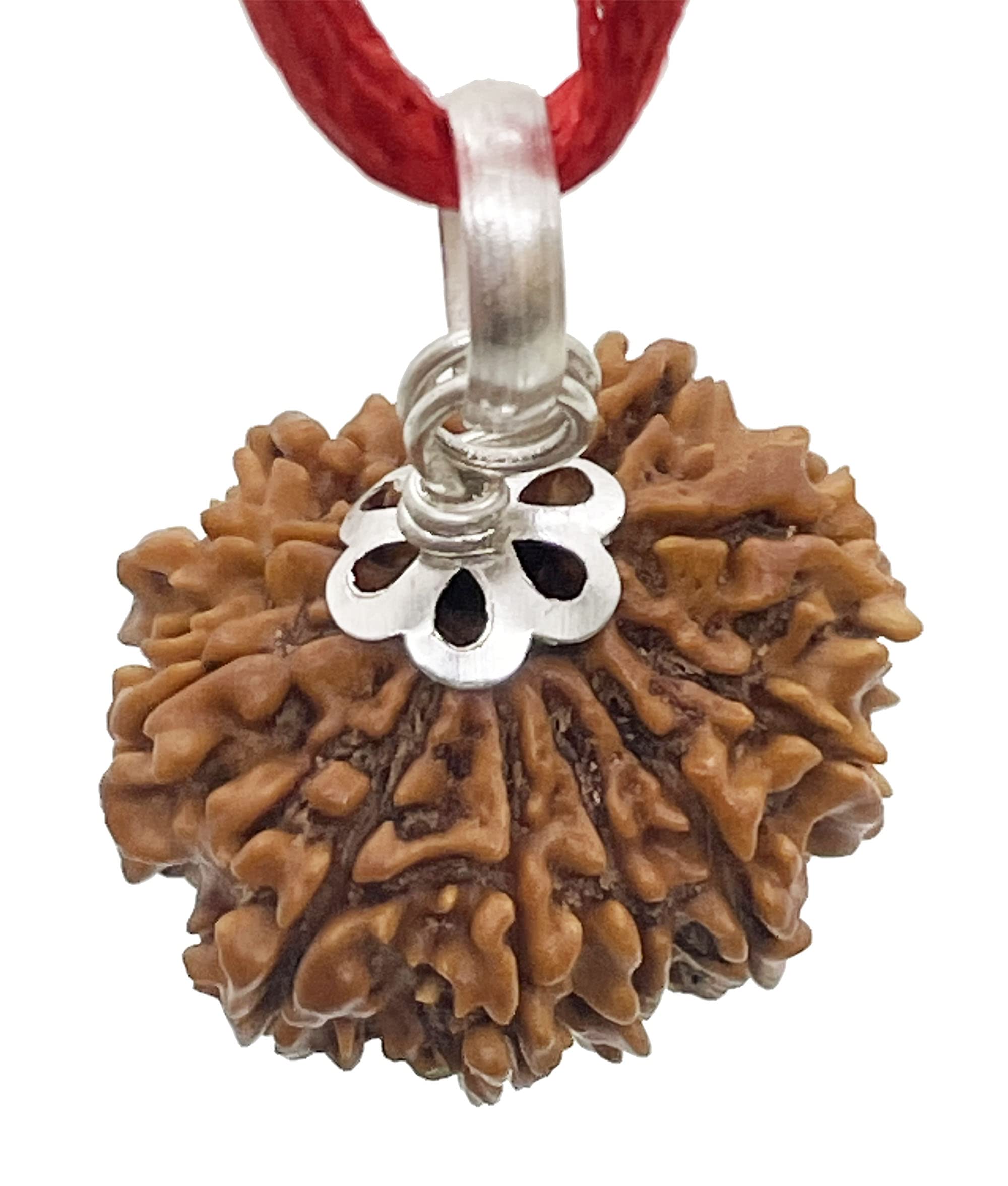 Natchcart Laboratory Certified 12/ Twelve Mukhi Rudraksha Original Pure Siddha in Silver, Size 16-22mm, Color-Brown (12 Mukhi Silver) (B09QT4DD94) Amazon Price History, Amazon Price Tracker