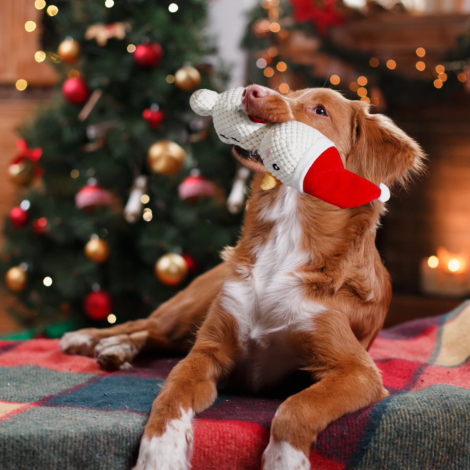 3-tlg. Weihnachts-Hundespielzeug – Weihnachtsmann, Rentier & Schneemann – Mit Quietscher, Für Kleine Hunde