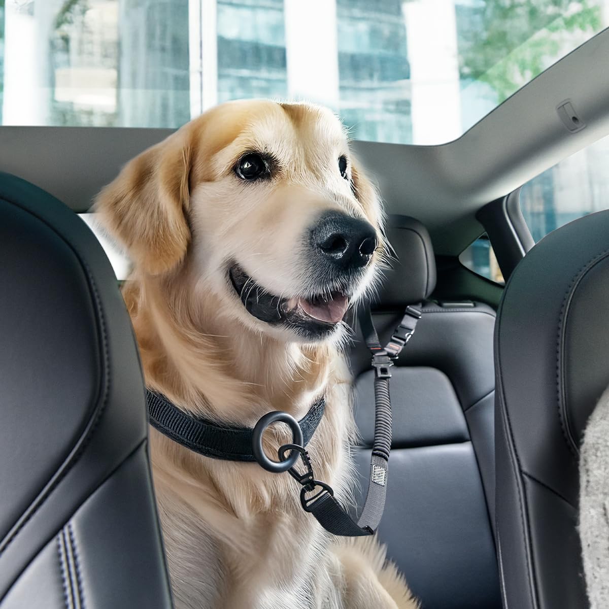 Spigen 2 in 1 Car Seat Belt Tether for Dogs (Headrest & Seatbelt Buckle) | High-Strength Heavy-Duty Strap | Adjustable Anti-Shock Bungee Leash - image 8